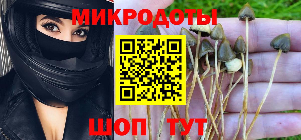 Кашира  Галлюциногенные грибы прущие грибы  Вход с VPN  Псилоцибиновые грибы MAGIC MUSHROOMS 