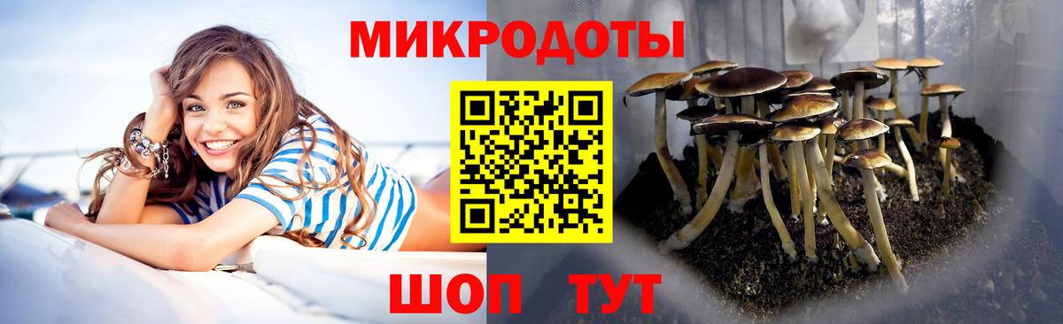 Галлюциногенные грибы ЛСД Кашира