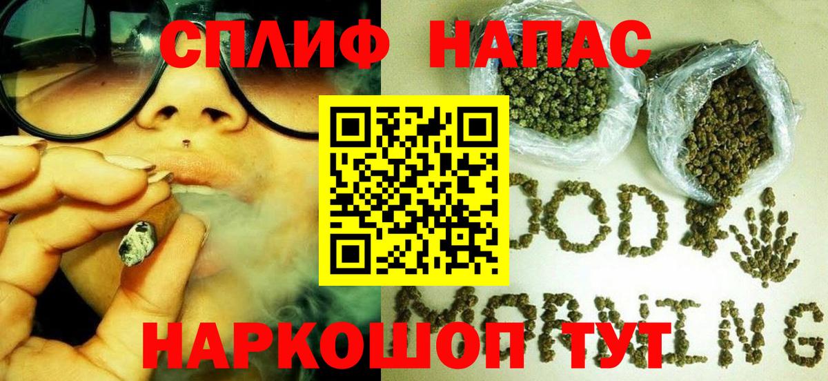 Бошки марихуана сатива Кашира